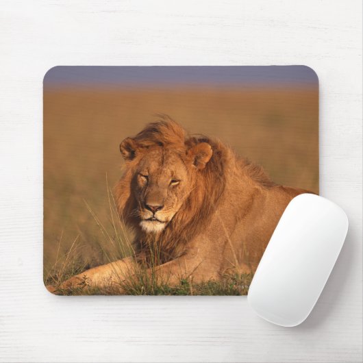 Löwe 8 mousepad (Mit Mouse)