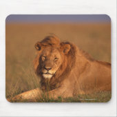 Löwe 8 mousepad (Vorne)