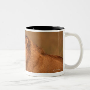 Löwe 8 zweifarbige tasse