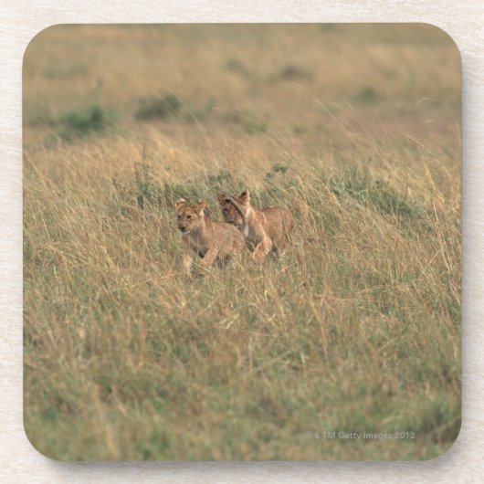 Löwe 9 untersetzer (Vorderseite)