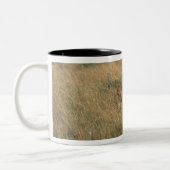 Löwe 9 zweifarbige tasse (Links)