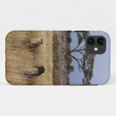Löwe africa iphone4 Fall Case-Mate iPhone Hülle (Rückseite (Horizontal))