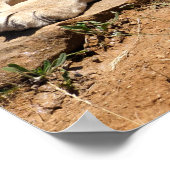 Löwe am Boden Poster (Ecke)