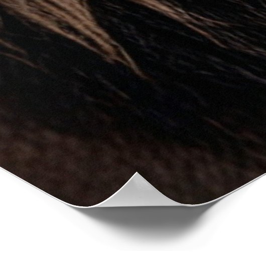 Löwe am Times Square Poster (Ecke)