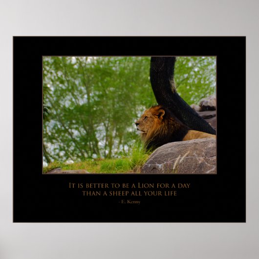 Löwe auf dem Berg Poster (Vorne)