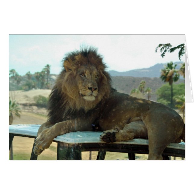 Löwe auf der Karte (Vorderseite (Horizontal))