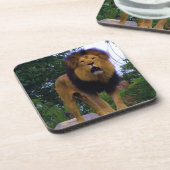 Löwe auf einem Felsen Getränkeuntersetzer (Linke Seite)