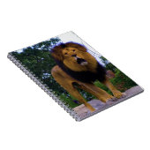 Löwe auf einem Felsen Notizblock (Rechte Seite)