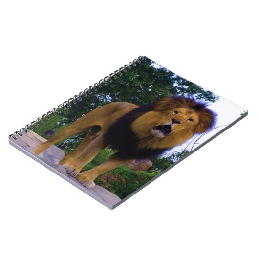 Löwe auf einem Felsen Notizblock (Linke Seite)