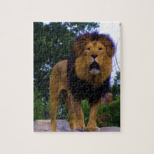 Löwe auf einem Felsen Puzzle