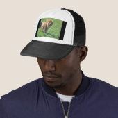 Löwe auf Gras Truckerkappe (Beispiel)