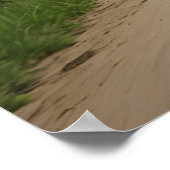 Löwe auf Motorrad Poster (Ecke)