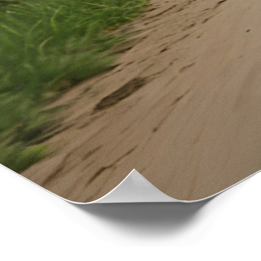 Löwe auf Motorrad Poster (Ecke)