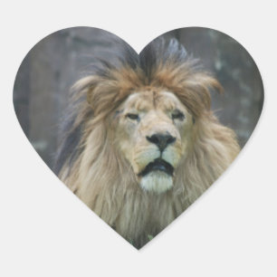 Löwe-Aufkleber Herz-Aufkleber