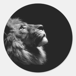 Löwe-Aufkleber Runder Aufkleber