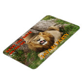 Löwe bei Maasai Mara 1 Rett-the-Date Magnet (Linke Seite)