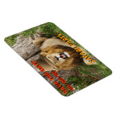 Löwe bei Maasai Mara 1 Rett-the-Date Magnet (Rechte Seite)