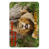 Löwe bei Maasai Mara 1 Rett-the-Date Magnet (Vertikal)