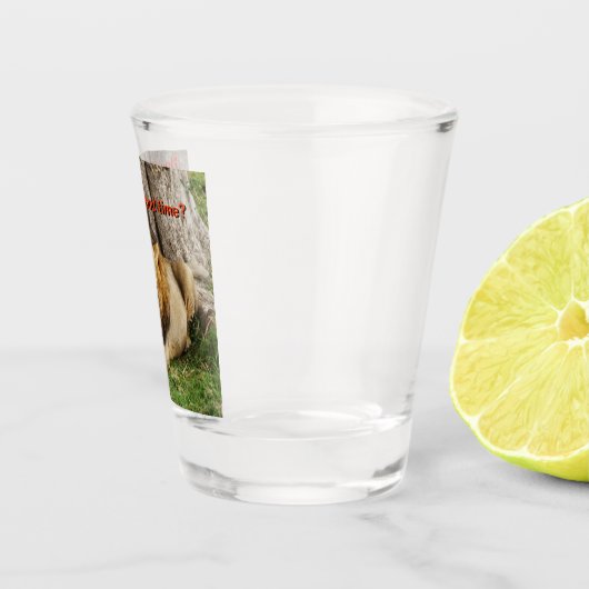 Löwe bei Maasai Mara 1 Schnapsglas (Rechts)