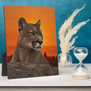 Löwe bei Sonnenuntergang Fotoplatte