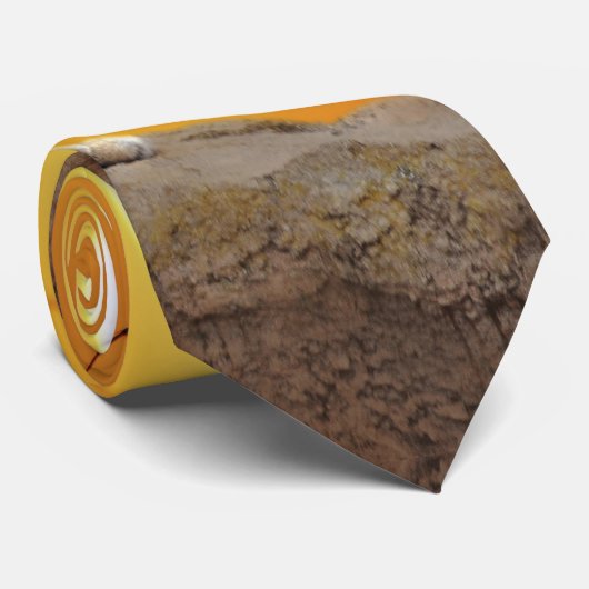 Löwe bei Sonnenuntergang Krawatte (Gerollt)