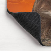 Löwe bei Sonnenuntergang Mousepad (Ecke)