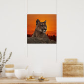 Löwe bei Sonnenuntergang Poster (Küche)
