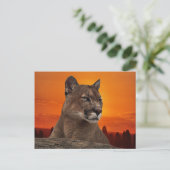 Löwe bei Sonnenuntergang Postkarte (Stehend Vorderseite)