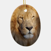 Löwe-Bild-Verzierung Keramik Ornament (Hinten)