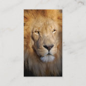 Löwe-Bild-Visitenkarte Visitenkarte (Rückseite)