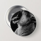 Löwe Button (Vorne & Hinten)