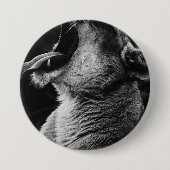 Löwe Button (Vorderseite)