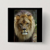 Löwe Button (Vorderseite)