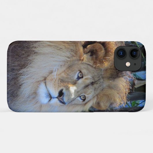 Löwe Case-Mate iPhone Hülle (Rückseite (Horizontal))