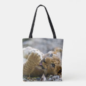 Löwe CUB 2 Tasche (Rückseite)