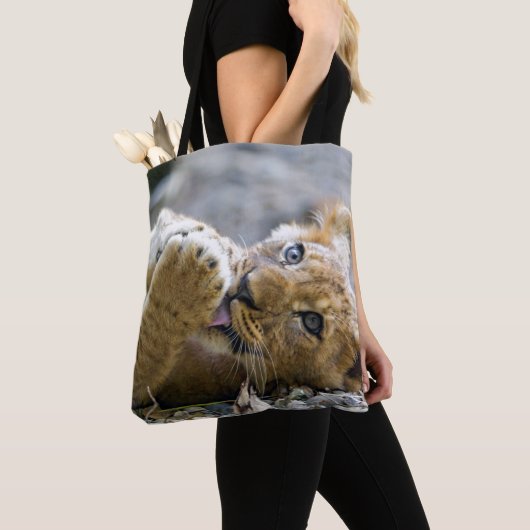 Löwe CUB 2 Tasche (Von Nahem)