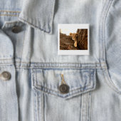 Löwe CUB Button (Beispiel)