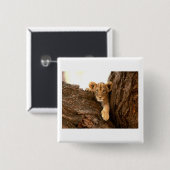 Löwe CUB Button (Vorne & Hinten)