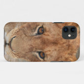 Löwe CUB Case-Mate iPhone Hülle (Rückseite (Horizontal))
