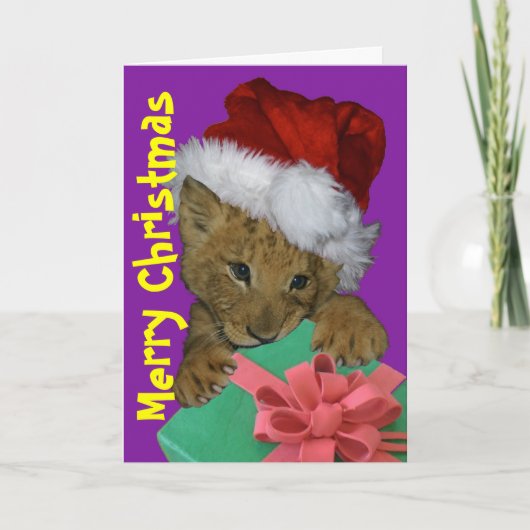 Löwe-CUB-Geschenk-Weihnachtskarte Feiertagskarte (Vorderseite)