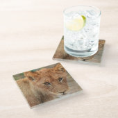 Löwe CUB Glasuntersetzer (Schrägansicht)