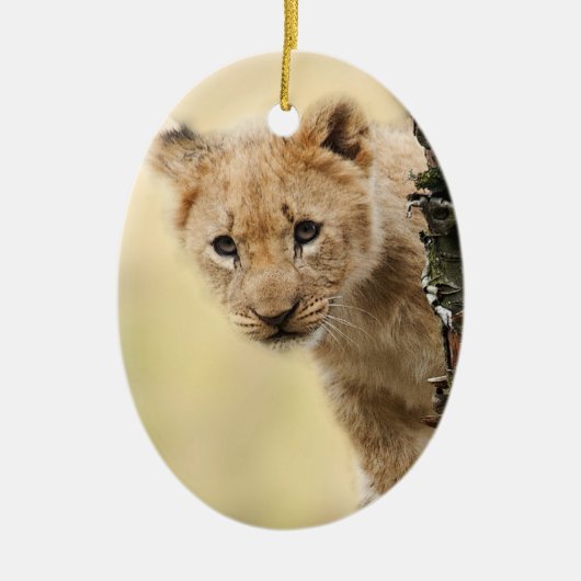 Löwe CUB Keramik Ornament (Vorne)