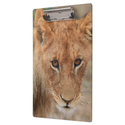 Löwe CUB Klemmbrett (Links)