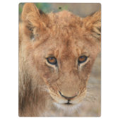 Löwe CUB Klemmbrett (Rückseite)