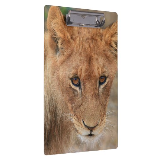 Löwe CUB Klemmbrett (Rechts)