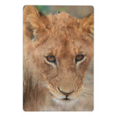 Löwe CUB Mini Klemmbrett (Rückseite)