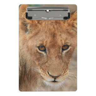 Löwe CUB Mini Klemmbrett