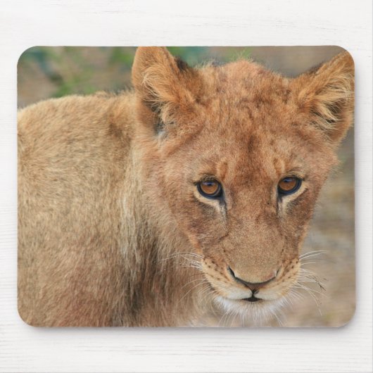 Löwe CUB Mousepad (Vorne)