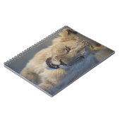 Löwe CUB (Panthera Löwe) | Namibia Notizblock (Linke Seite)