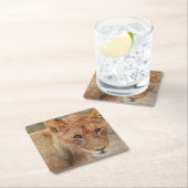 Löwe CUB Rechteckiger Pappuntersetzer (Vor Ort)